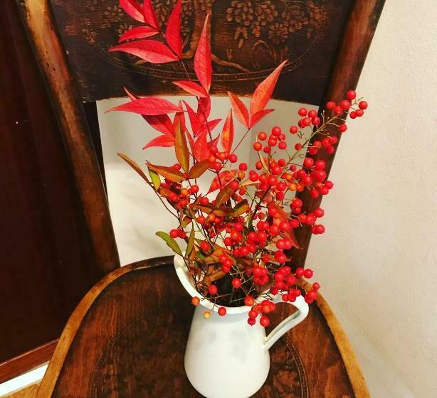 Bed And Breakfast D&d