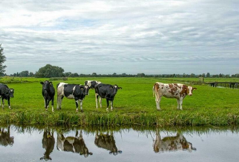 住宿加早餐 House Of Cocagne