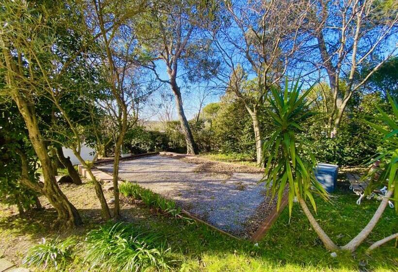 Bed and Breakfast Le Mas Des Cigales