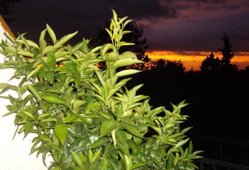 Bed and Breakfast Le Mas Des Cigales