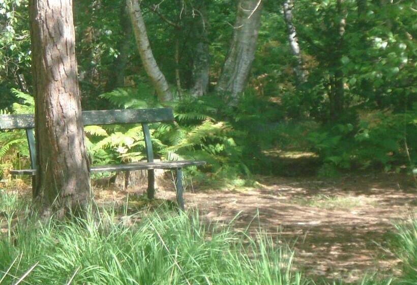 ベッドアンドブレックファースト Les Prémices De La Forêt