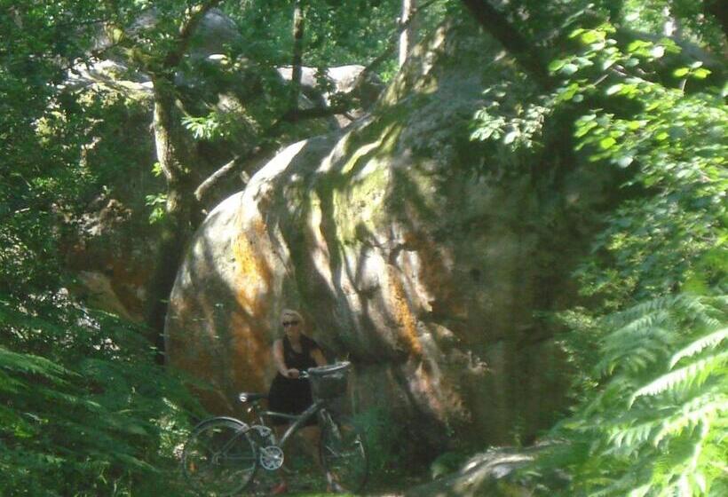 ベッドアンドブレックファースト Les Prémices De La Forêt