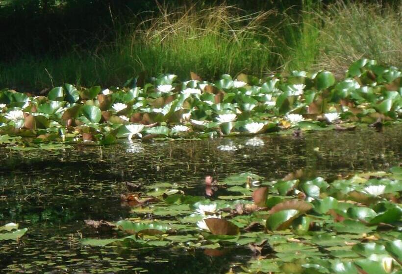 ベッドアンドブレックファースト Les Prémices De La Forêt