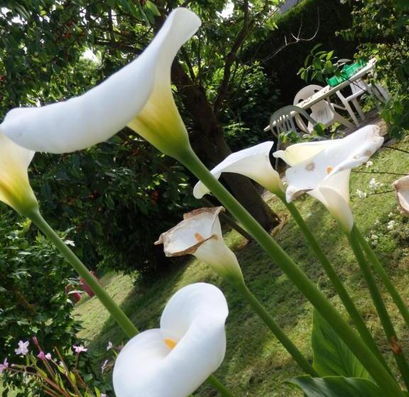 住宿加早餐  Les Trois Pommiers