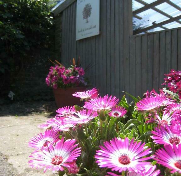 Bed and Breakfast Oak Tree Lodge & Holiday Parking