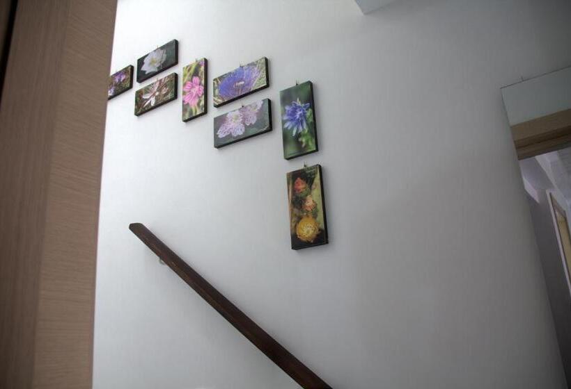 住宿加早餐  Casa Sogniblei Locazione Turistica