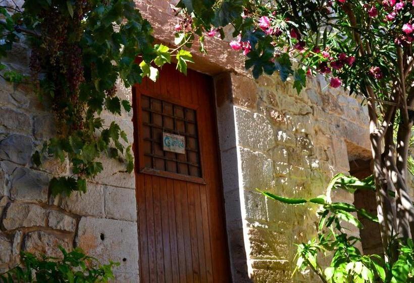 Bed and Breakfast Vinciucci