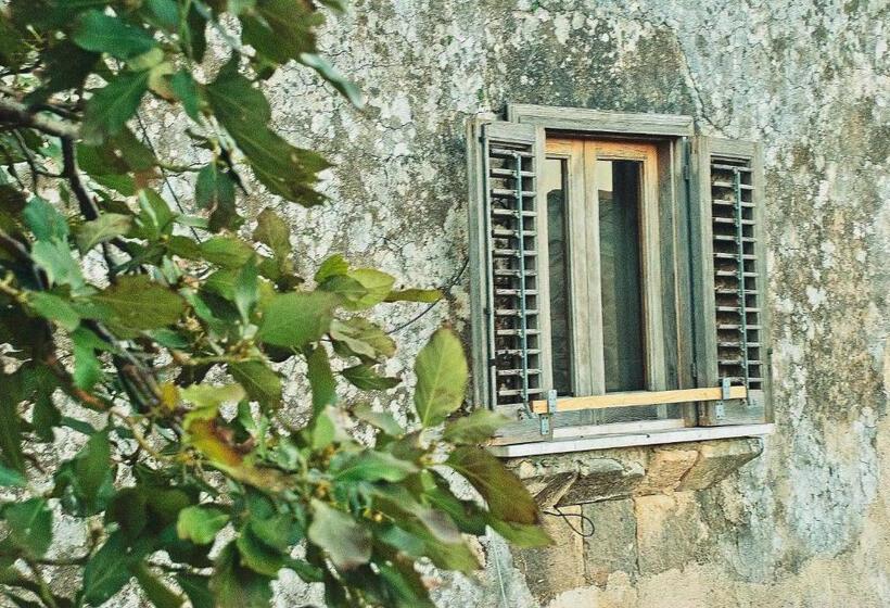 Bed and Breakfast Vinciucci