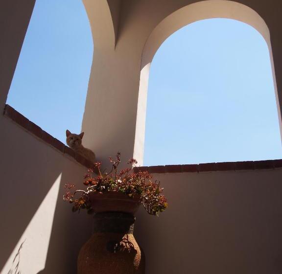 Bed and Breakfast Vinciucci