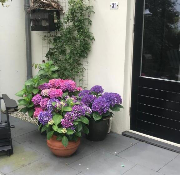 Bed & Breakfast Diemerbrug