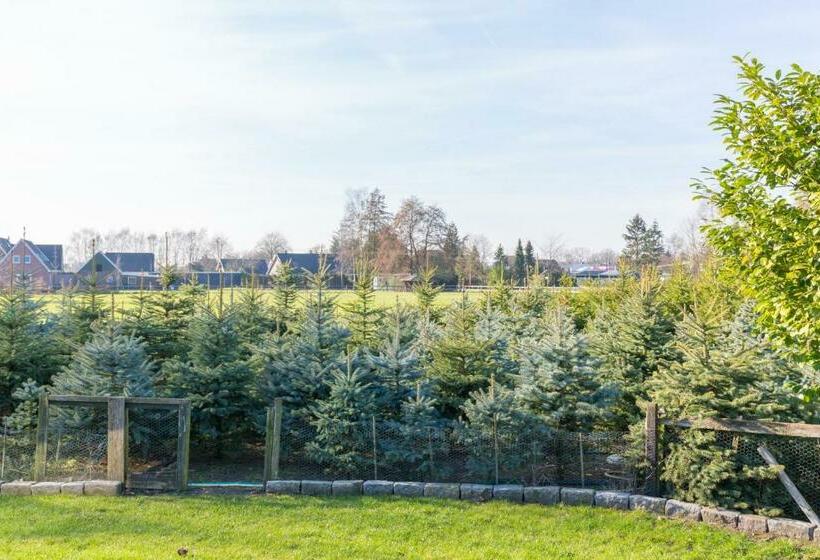 Bed & Breakfast Kroese