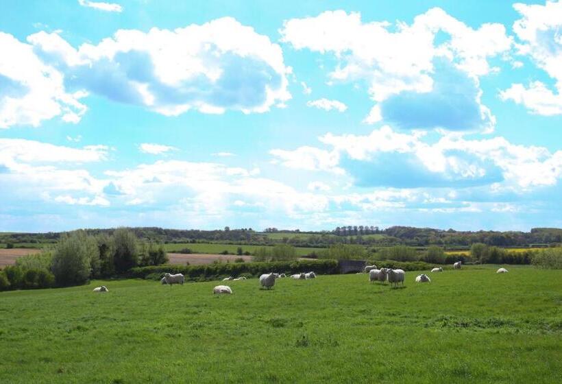 酒店 Abbey Farm Glamping & Cottage