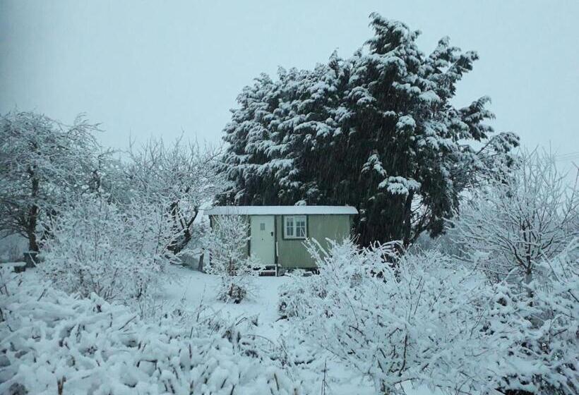 酒店 Abbey Farm Glamping & Cottage