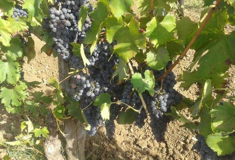 فندق Agriturismo Il Rifugio