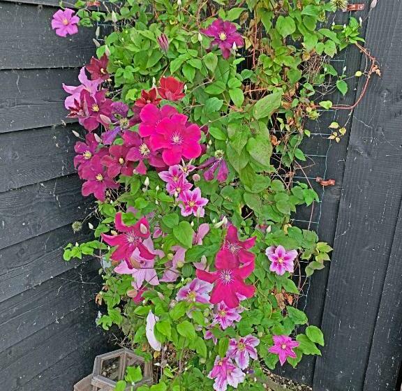 בית מלון כפרי Christinahoeve Oude Deel #1