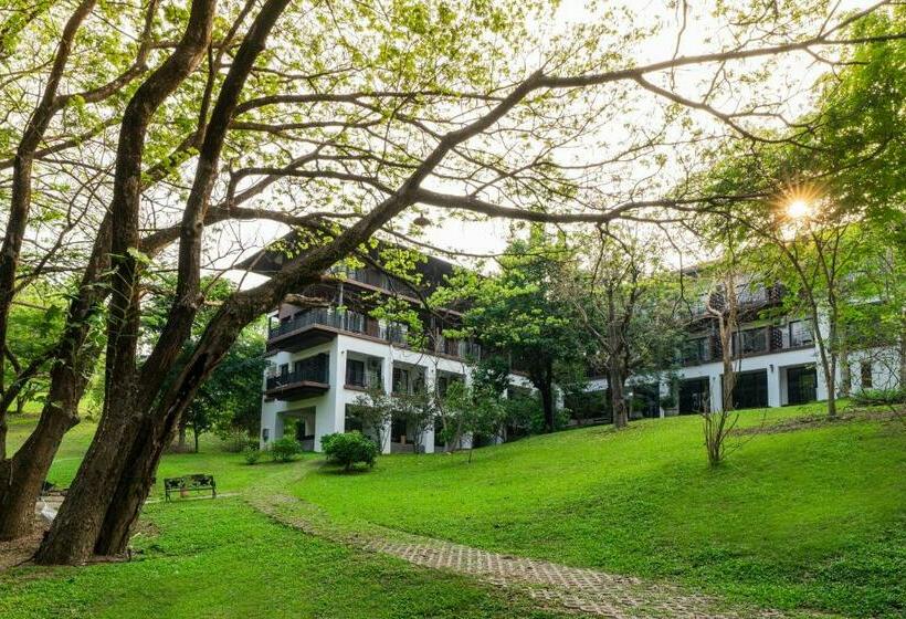 Hotel Rain Tree Khao Yai