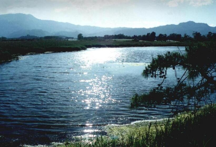 فندق S Arenarju