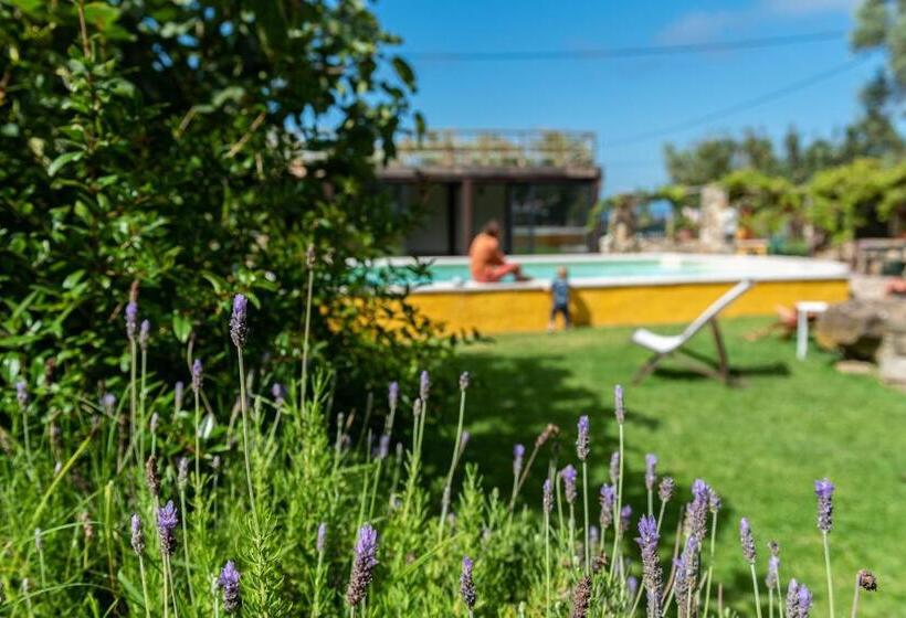 פנסיון Casa Paço D`ilhas