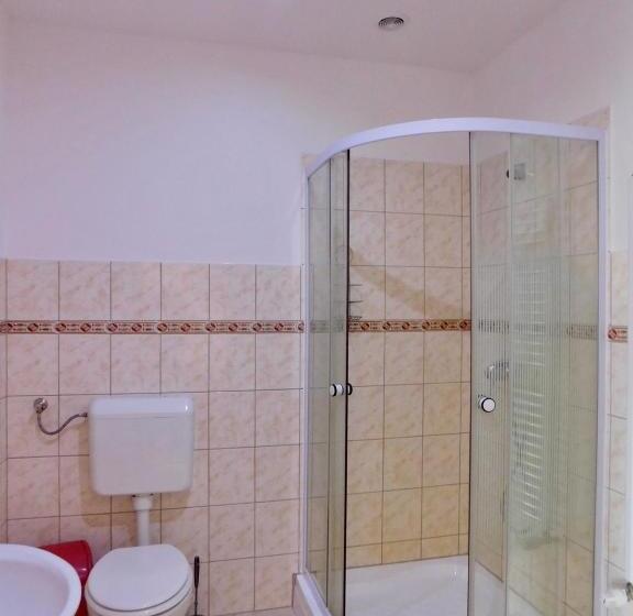 פנסיון Csetáj Vendégház