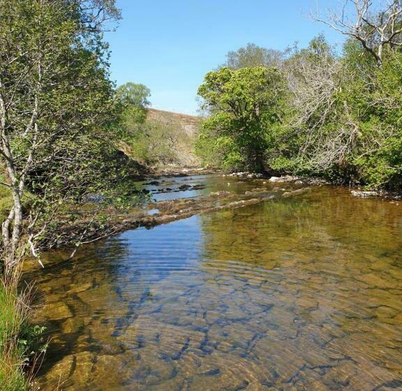 Пансион Elysian Fields @ Ing Hill Lodge