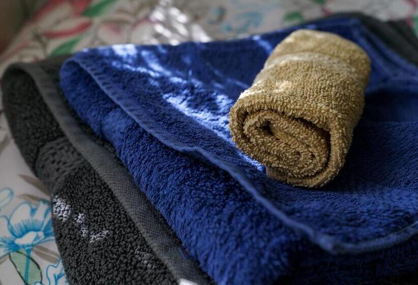 膳宿费 Guest House Tommy Bansko Bachevo