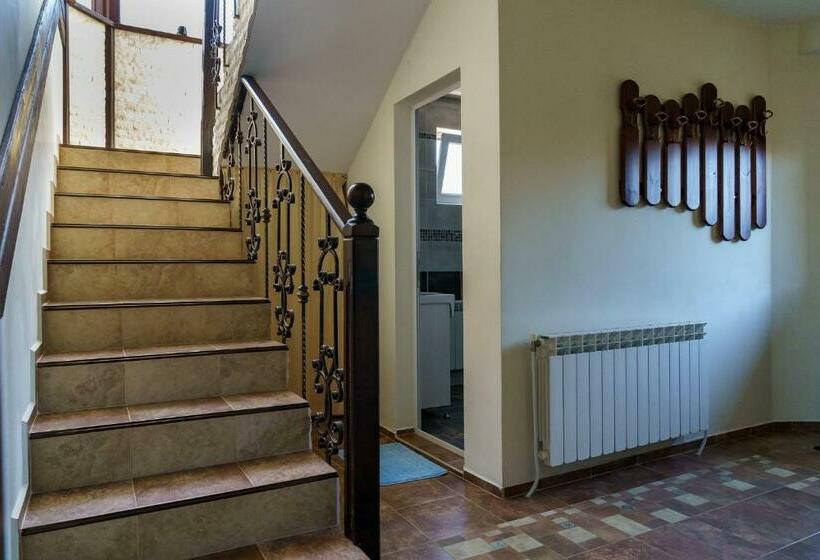 膳宿费 Guest House Tommy Bansko Bachevo