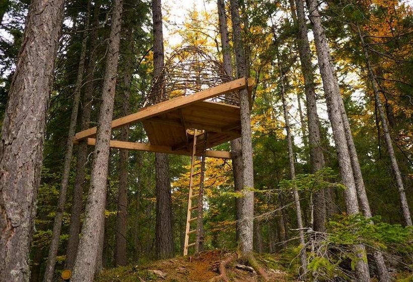 پانسیون Guesthouse Planinski Dom Majerhold