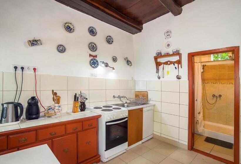 פנסיון Kék Túra Vendégház