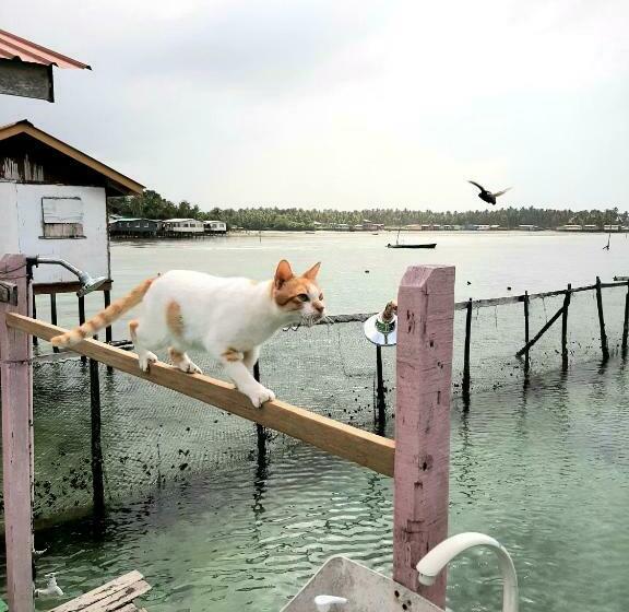 פנסיון Nd Divers