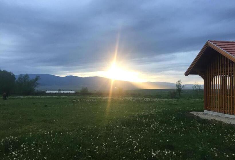 פנסיון Nimfa Apartments