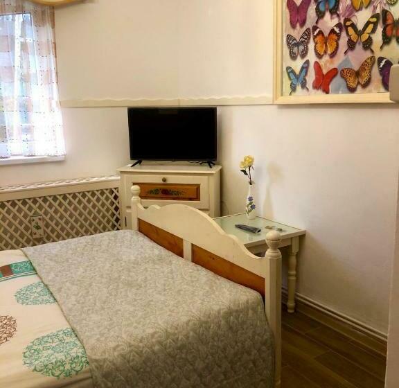 بنسيون Vila Horia Bradet