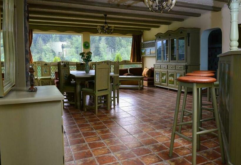 بنسيون Vila Horia Bradet