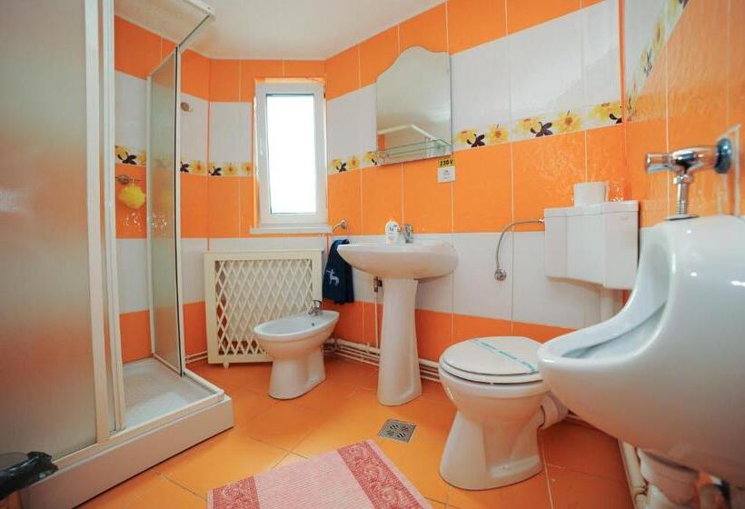 بنسيون Vila Horia Bradet