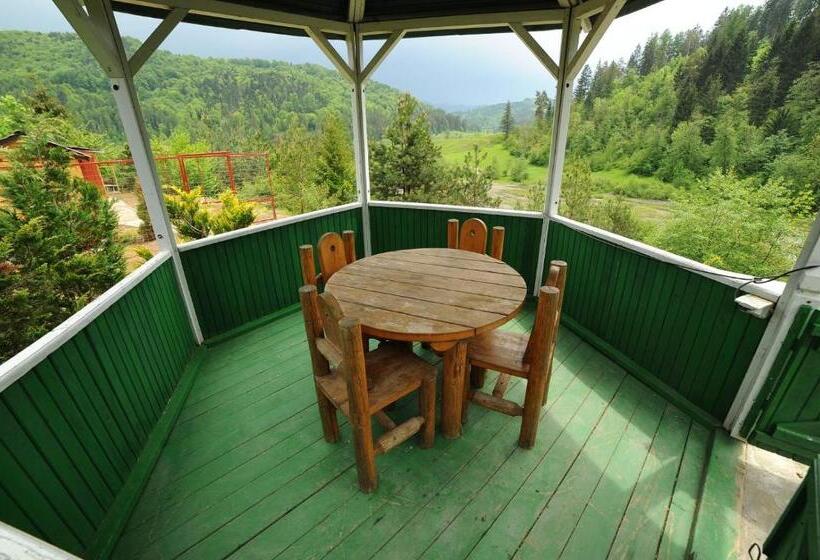 بنسيون Vila Horia Bradet