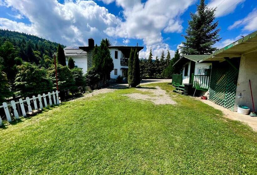 بنسيون Vila Horia Bradet