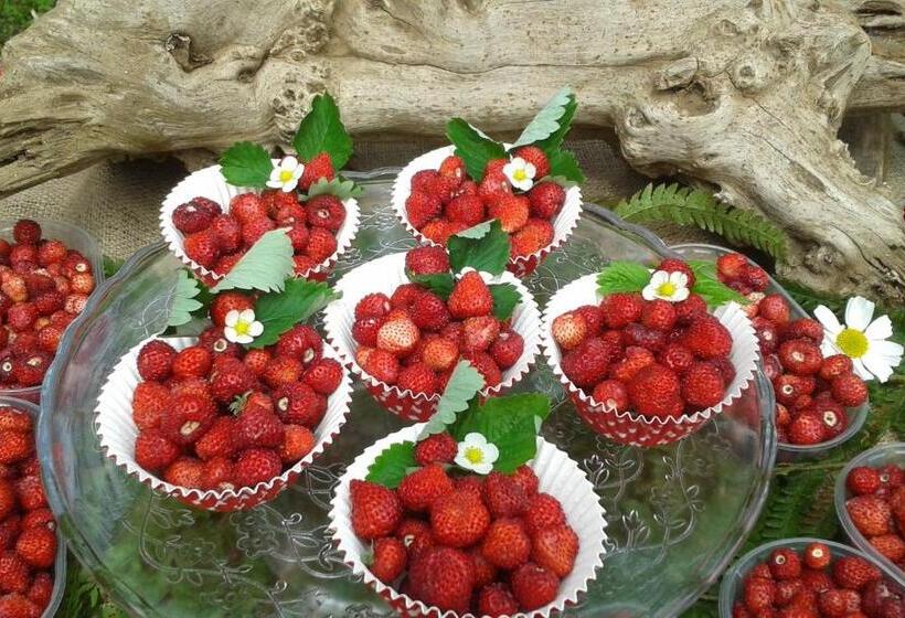 펜션 Vistalago Guesthouse