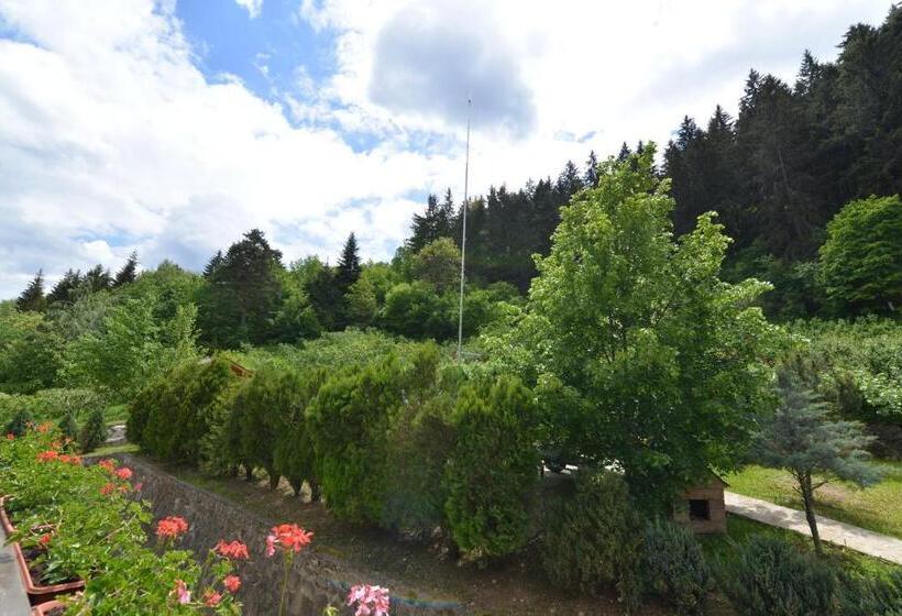 Pensiunea Drumul Plutasilor