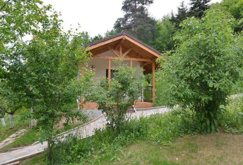 Pensiunea Drumul Plutasilor