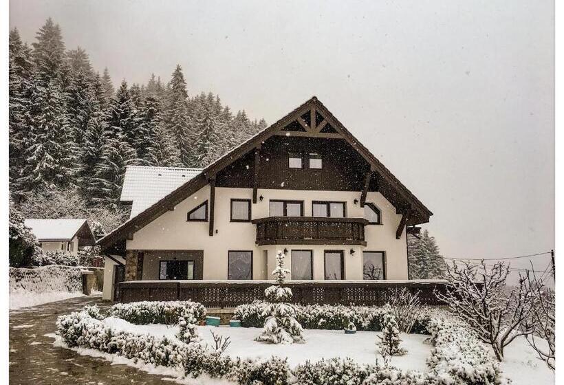 Pensiunea Drumul Plutasilor