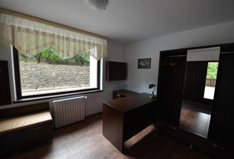 Pensiunea Drumul Plutasilor