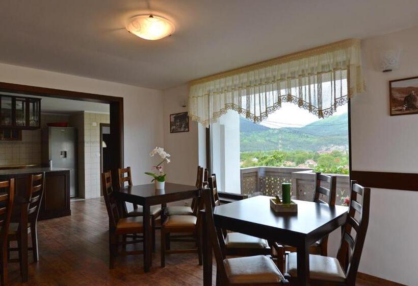 Pensiunea Drumul Plutasilor