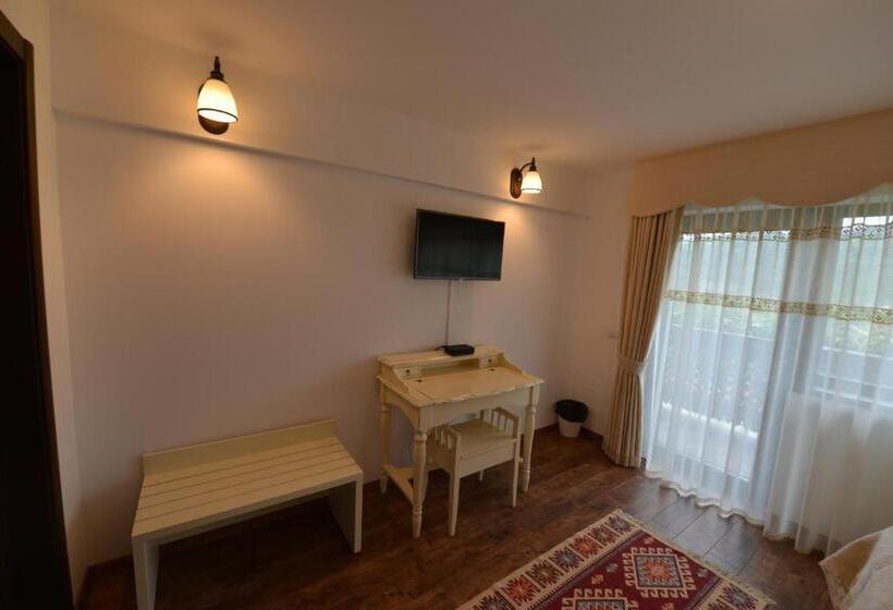 Pensiunea Drumul Plutasilor