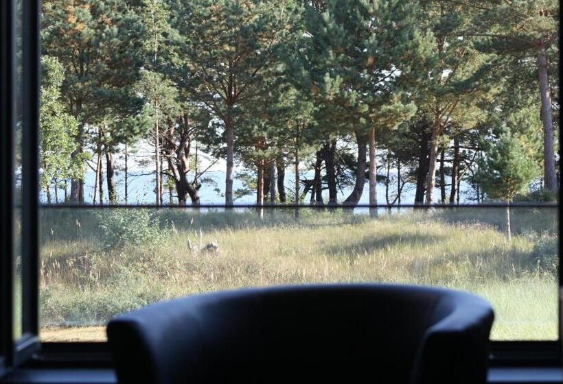 Prora Solitaire Apartment Mit Meerblick Block 2