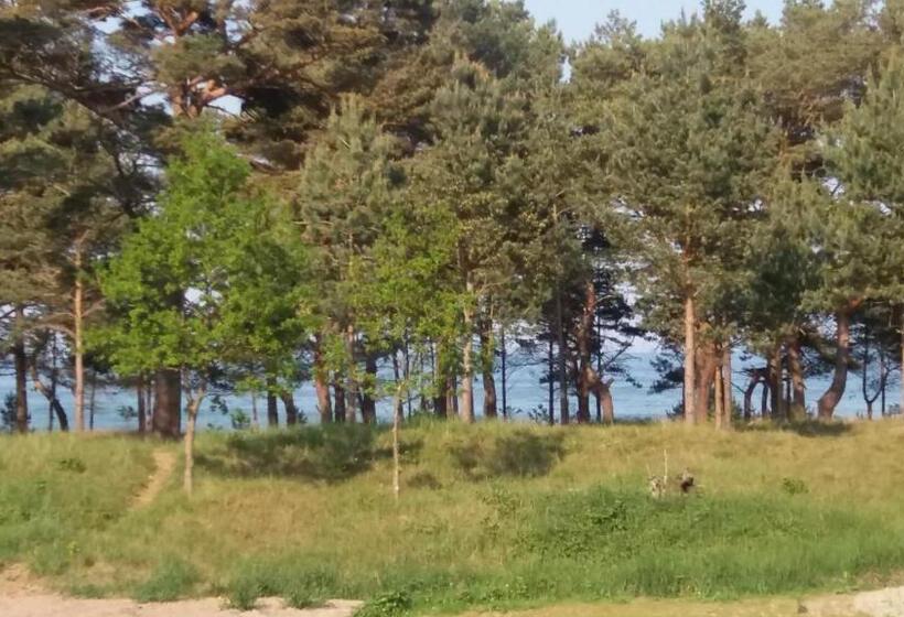 Prora Solitaire Apartment Mit Meerblick Block 2