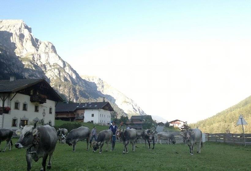 בית מלון כפרי Alfaierhof Bergheimat