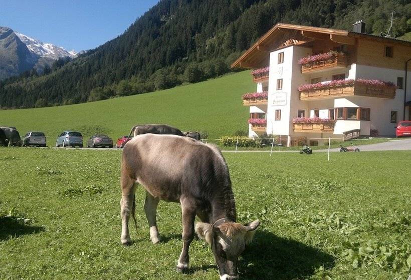 בית מלון כפרי Alfaierhof Bergheimat