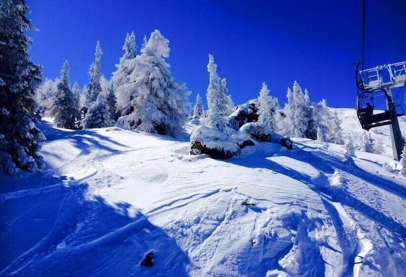 בית מלון כפרי Alfaierhof Bergheimat