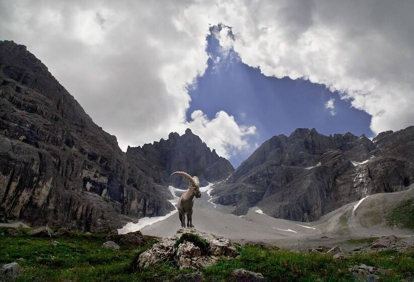 בית מלון כפרי Alfaierhof Bergheimat