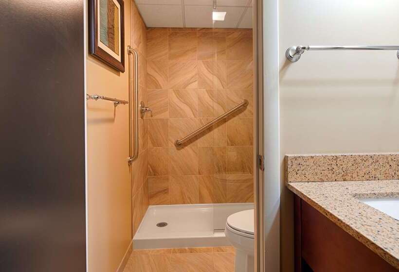 בית מלון כפרי Best Western Plus Traverse City