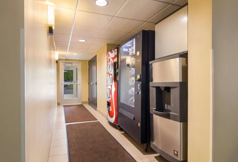 בית מלון כפרי Best Western Plus Traverse City